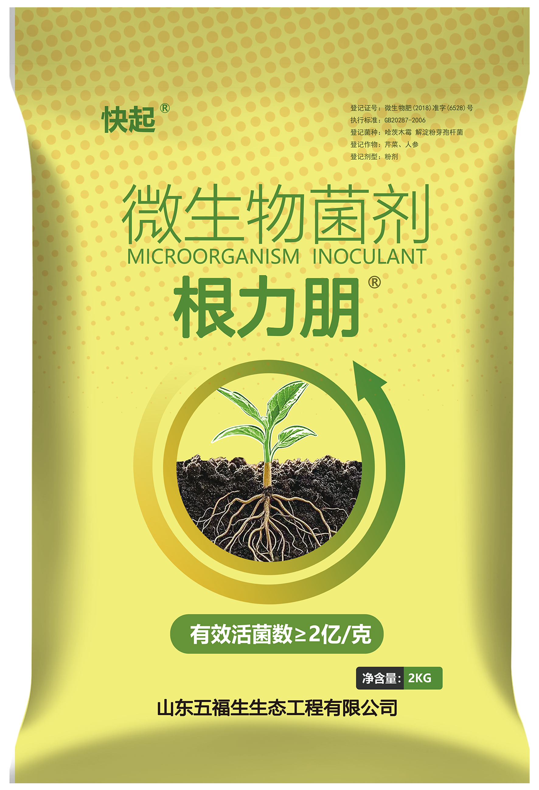 根力朋