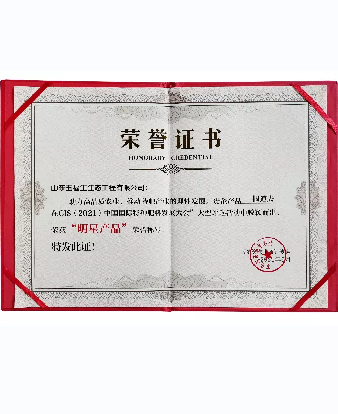 名称